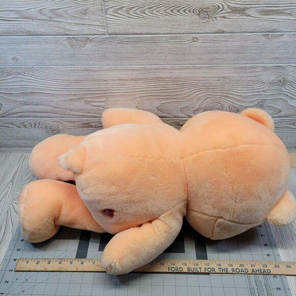 Care Bears Friendship Bear Plush Smiling Flowers Stuffed Animal Vtg 2002 26 in - Picture 6 of 10